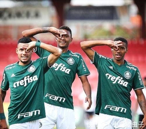 发展提供了 发展提供了